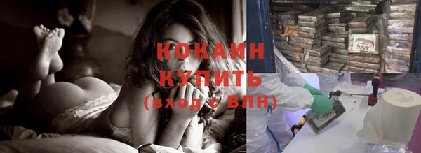 крисы Белокуриха