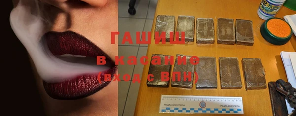 крисы Белокуриха