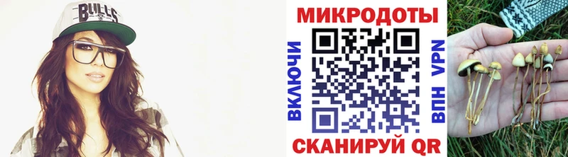 Галлюциногенные грибы Psilocybe  Кузнецк 