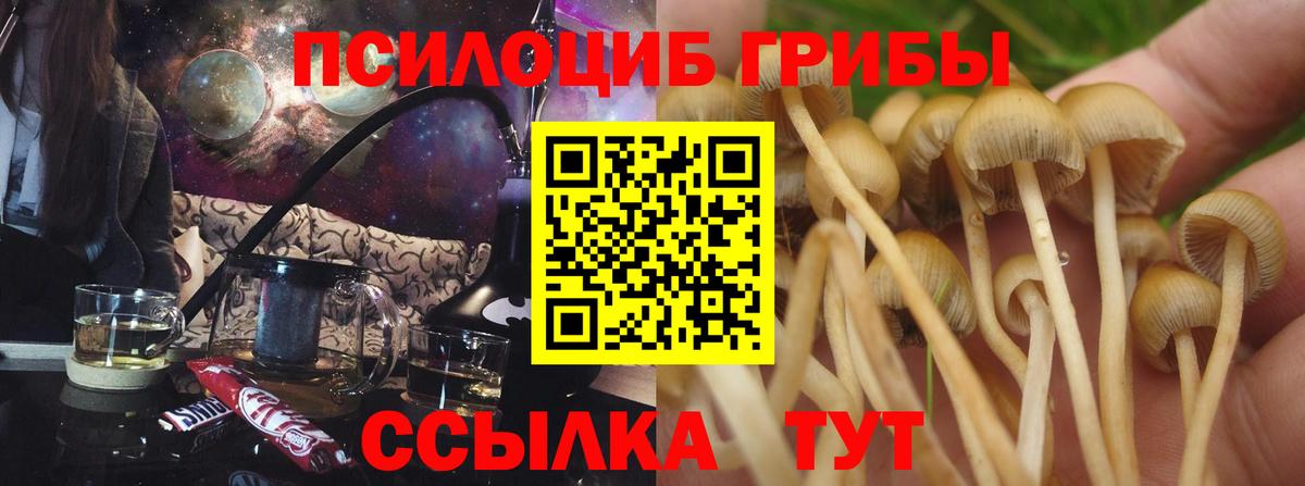 купить наркотик  Галлюциногенные грибы ЛСД  Вход с VPN  Кузнецк 
