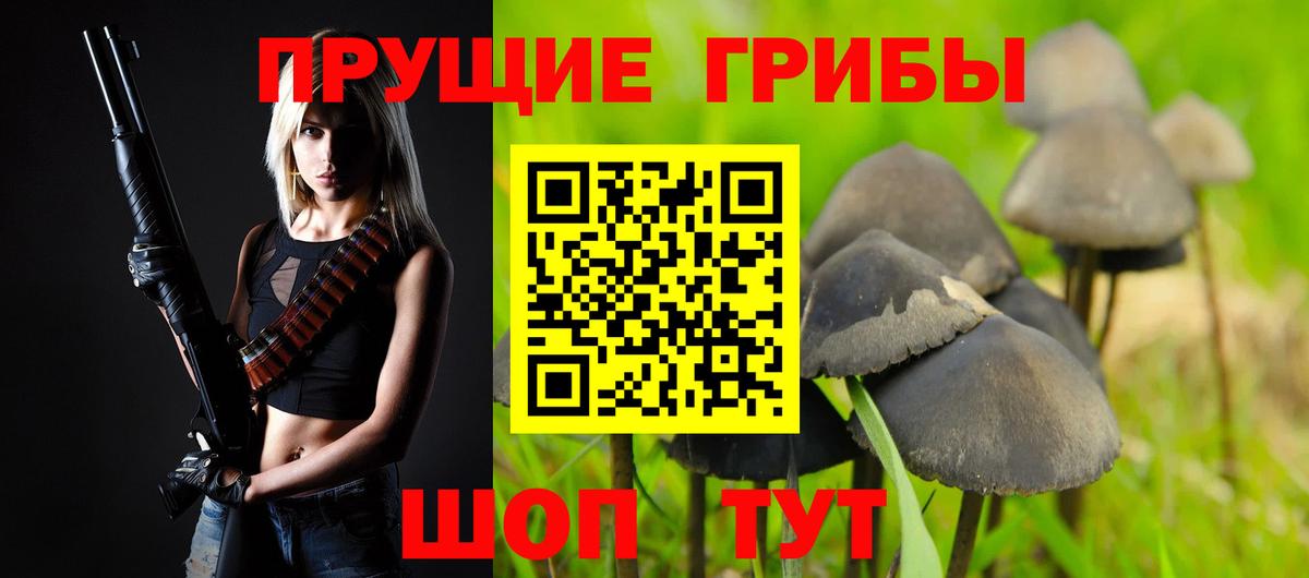 Галлюциногенные грибы GOLDEN TEACHER Кузнецк