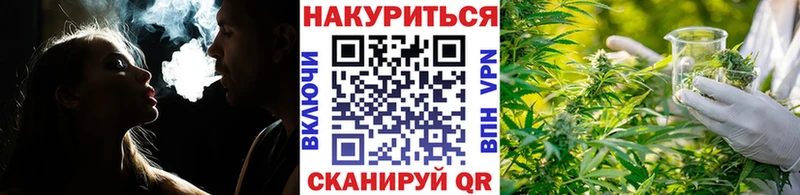 Бошки марихуана марихуана  где найти наркотики  площадка Telegram  Кузнецк 